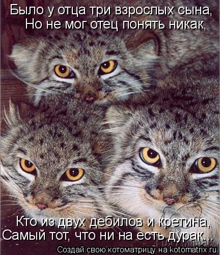 Было у отца три взрослых сына, Но не мог отец понять никак, Кто из двух дебилов и кретина, Самый то... Котоматрица: Было у отца три взрослых сына, Но не мог отец понять никак, Кто из двух дебилов и кретина, Самый тот, что ни на есть дурак...