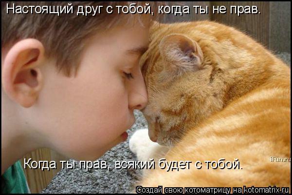 Настоящий друг с тобой, когда ты не прав. Когда ты прав, всякий будет с тобой.... Котоматрица: Настоящий друг с тобой, когда ты не прав. Когда ты прав, всякий будет с тобой.