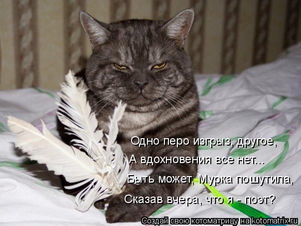 Одно перо изгрыз, другое, А вдохновения все нет... Быть может, Мурка пошутила, Сказав вчера, что я - ... Котоматрица: Одно перо изгрыз, другое, А вдохновения все нет... Быть может, Мурка пошутила, Сказав вчера, что я - поэт?