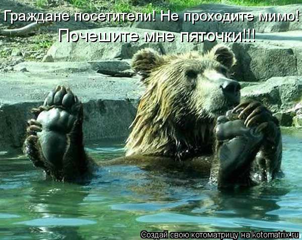Котоматрица: Граждане посетители! Не проходите мимо! Почешите мне пяточки!!!