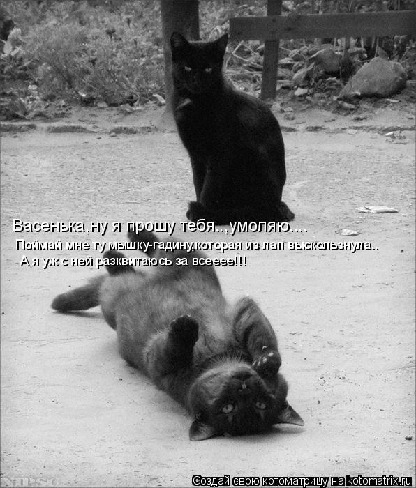Котоматрица: Васенька,ну я прошу тебя..,умоляю.... Поймай мне ту мышку-гадину,которая из лап выскользнула.. А я уж с ней разквитаюсь за всееее!!!