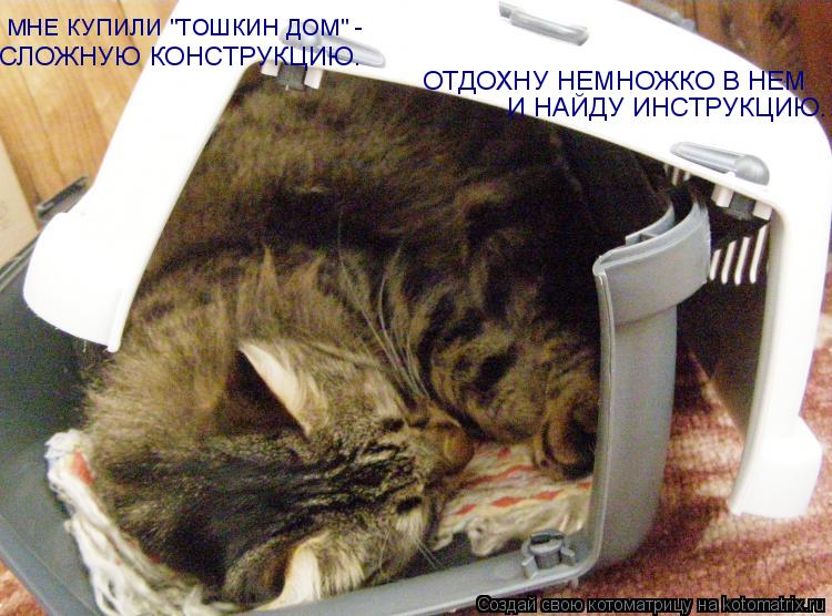 МНЕ КУПИЛИ "ТОШКИН ДОМ" - СЛОЖНУЮ КОНСТРУКЦИЮ. ОТДОХНУ НЕМНОЖКО В НЕМ И НАЙДУ ИНСТРУКЦИЮ.... Котоматрица: МНЕ КУПИЛИ "ТОШКИН ДОМ" - СЛОЖНУЮ КОНСТРУКЦИЮ. ОТДОХНУ НЕМНОЖКО В НЕМ И НАЙДУ ИНСТРУКЦИЮ.