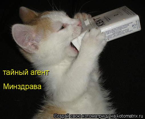 Котоматрица: тайный агент Минздрава