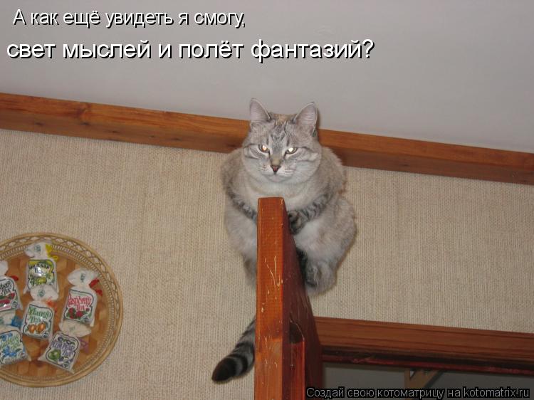 А как ещё увидеть я смогу, свет мыслей и полёт фантазий?... Котоматрица: А как ещё увидеть я смогу, свет мыслей и полёт фантазий?