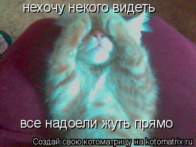 нехочу некого видеть все надоели жуть прямо... Котоматрица: нехочу некого видеть все надоели жуть прямо