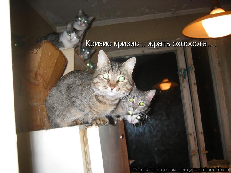 Кризис кризис....жрать охоооота.... Кризис кризис....жрать охоооота....... Котоматрица: Кризис кризис....жрать охоооота.... Кризис кризис....жрать охоооота....