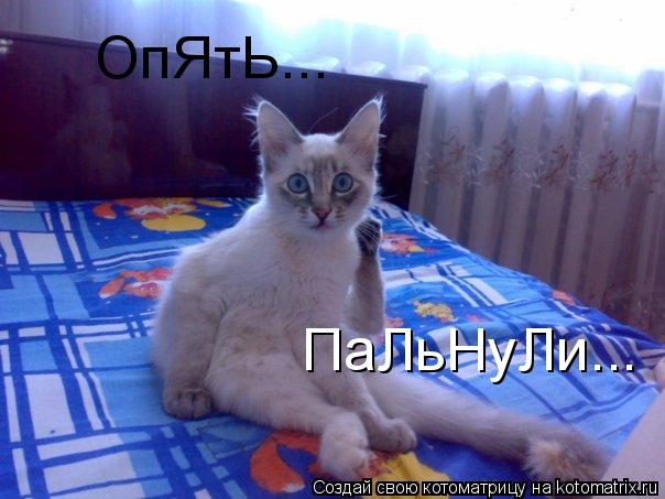 Котоматрица: ОпЯтЬ... ПаЛьНуЛи...