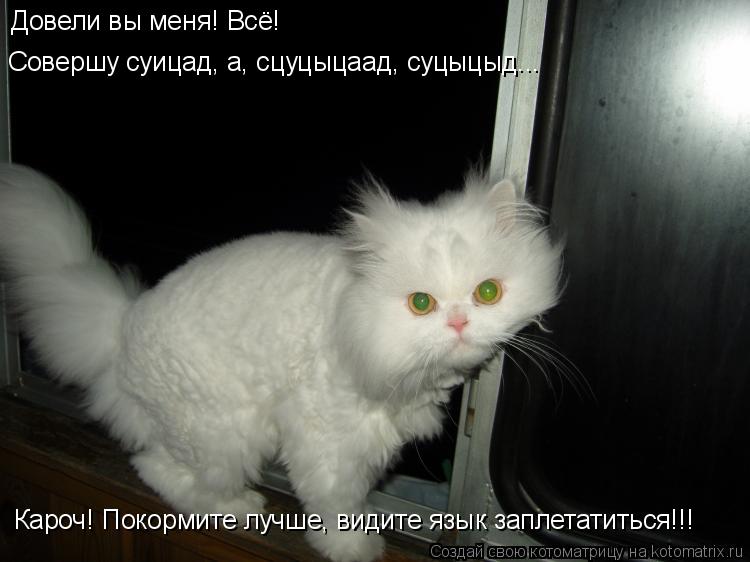 Кароч! Покормите лучше, видите язык заплетатиться!!! Довели вы меня! Всё! Совершу суицад, а, сцуцыца... Котоматрица: Кароч! Покормите лучше, видите язык заплетатиться!!! Довели вы меня! Всё! Совершу суицад, а, сцуцыцаад, суцыцыд...