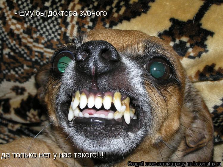 Котоматрица: - Ему бы доктора зубного. да только нет у нас такого!!!!