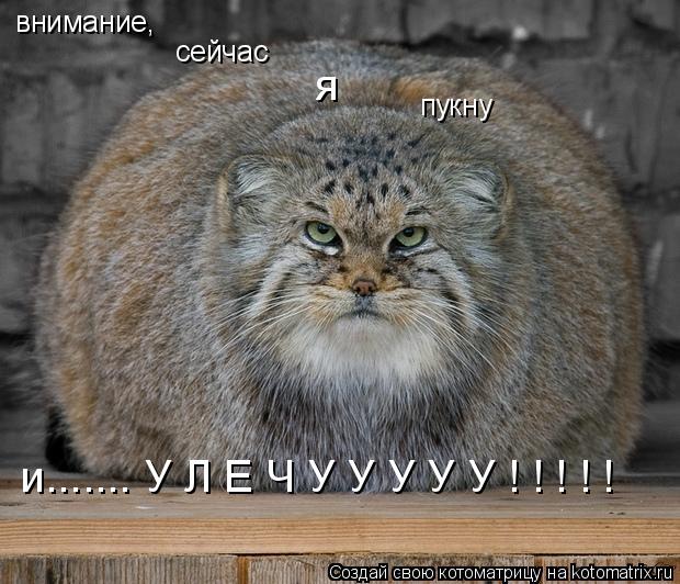 Котоматрица: сейчас пукну я и....... У Л Е Ч У У У У У ! ! ! ! ! внимание,