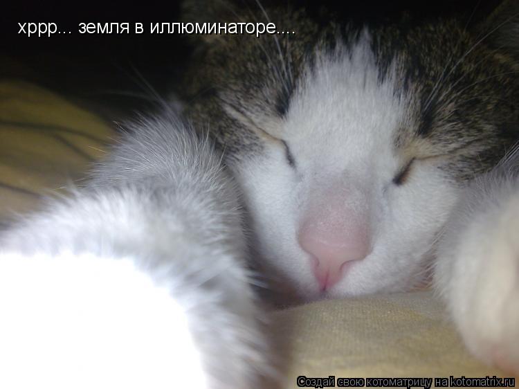 Котоматрица: хррр... земля в иллюминаторе....