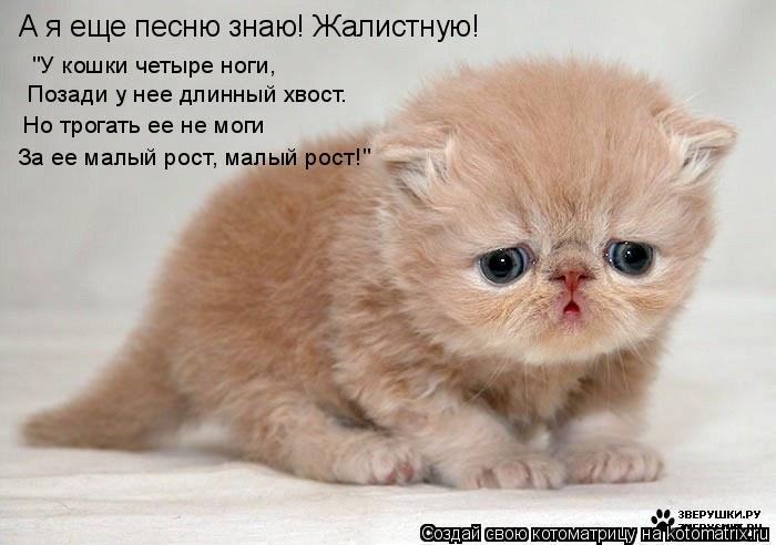 А я еще песню знаю! Жалистную! "У кошки четыре ноги, Позади у нее длинный хвост. Но трогать ее не мог... Котоматрица: А я еще песню знаю! Жалистную! "У кошки четыре ноги, Позади у нее длинный хвост. Но трогать ее не моги За ее малый рост, малый рост!"