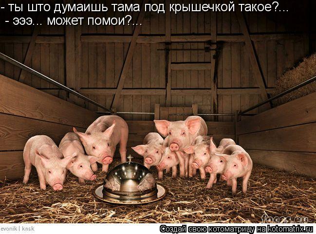 Котоматрица: - ты што думаишь тама под крышечкой такое?... - эээ... может помои?...