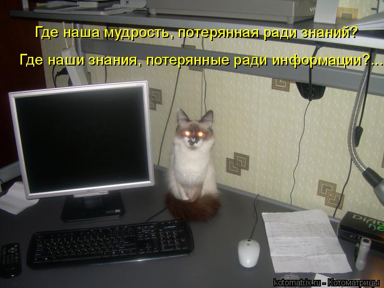 Где наша мудрость, потерянная ради знаний? Где наши знания, потерянные ради информации?...... Котоматрица: Где наша мудрость, потерянная ради знаний? Где наши знания, потерянные ради информации?...