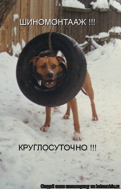 Котоматрица: ШИНОМОНТААЖ !!! КРУГЛОСУТОЧНО !!!