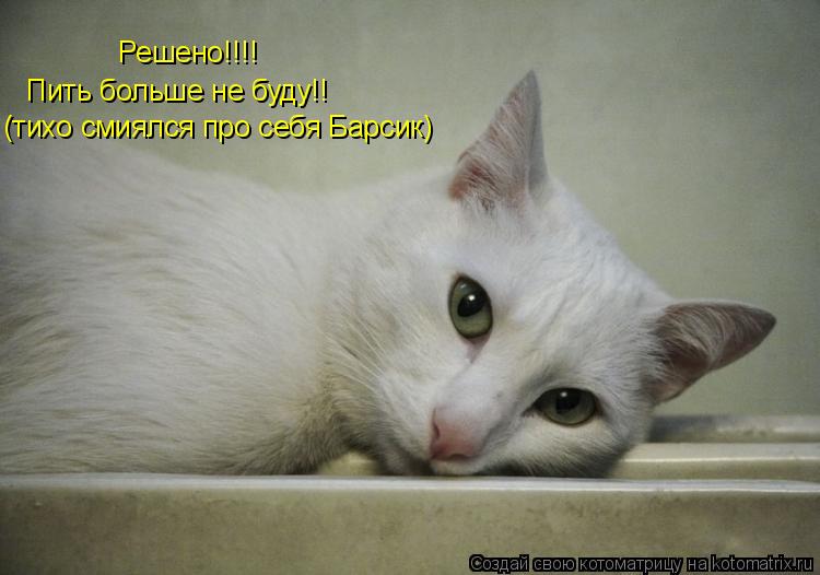 Решено!!!! Пить больше не буду!! (тихо смиялся про себя Барсик)... Котоматрица: Решено!!!! Пить больше не буду!! (тихо смиялся про себя Барсик)