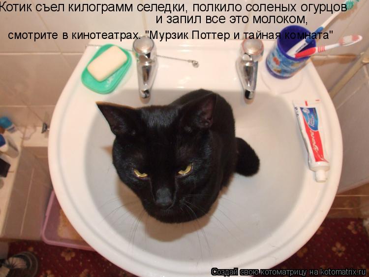 Котоматрица: Котик съел килограмм селедки, полкило соленых огурцов  и запил все это молоком,  смотрите в кинотеатрах– "Мурзик Поттер и тайная комната"