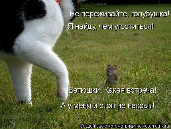 Батюшки! Какая встреча! А у меня и стол не накрыт! Не переживайте, голубушка! Я найду, чем угоститься... Котоматрица: Батюшки! Какая встреча! А у меня и стол не накрыт! Не переживайте, голубушка! Я найду, чем угоститься!
