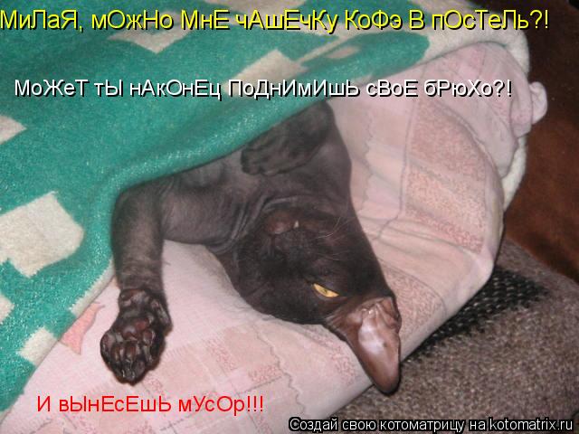 МиЛаЯ, мОжНо МнЕ чАшЕчКу КоФэ В пОсТеЛь?! МоЖеТ тЫ нАкОнЕц ПоДнИмИшЬ сВоЕ бРюХо?! И вЫнЕсЕшЬ мУсОр!!!... Котоматрица: МиЛаЯ, мОжНо МнЕ чАшЕчКу КоФэ В пОсТеЛь?! МоЖеТ тЫ нАкОнЕц ПоДнИмИшЬ сВоЕ бРюХо?! И вЫнЕсЕшЬ мУсОр!!!