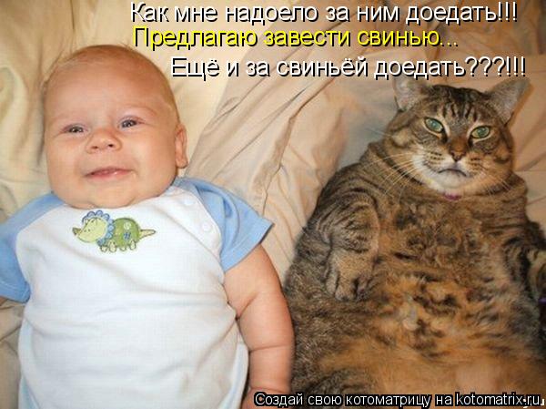 Котоматрица: Как мне надоело за ним доедать!!! Предлагаю завести свинью... Ещё и за свиньёй доедать???!!!