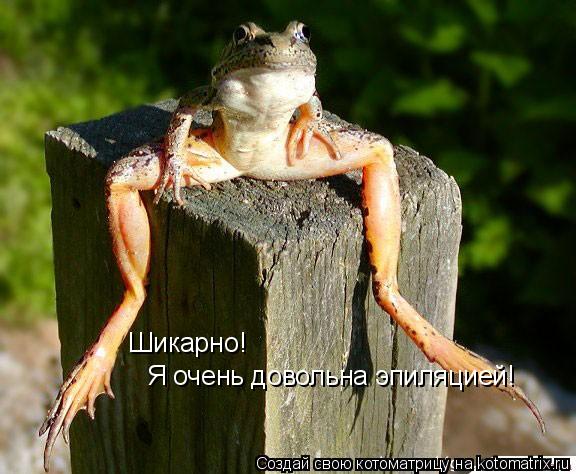 Шикарно! Я очень довольна эпиляцией!... Котоматрица: Шикарно! Я очень довольна эпиляцией!