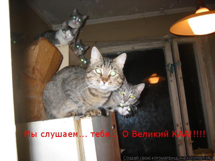 Мы слушаем... тебя... О Великий КАА!!!!!... Котоматрица: Мы слушаем... тебя... О Великий КАА!!!!!