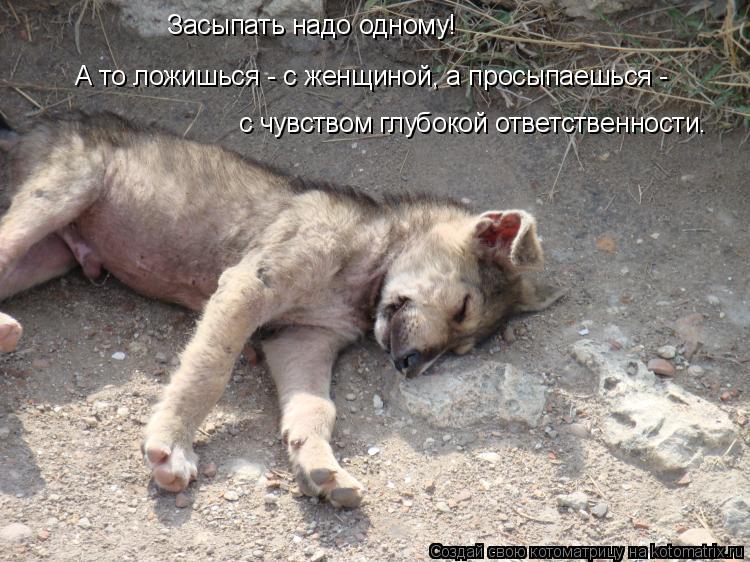 Котоматрица: Засыпать надо одному! А то ложишься - с женщиной, а просыпаешься -   с чувством глубокой ответственности.