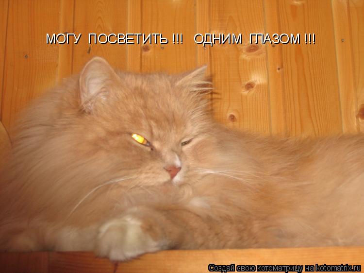 МОГУ ПОСВЕТИТЬ !!! ОДНИМ ГЛАЗОМ !!!... Котоматрица: МОГУ ПОСВЕТИТЬ !!! ОДНИМ ГЛАЗОМ !!!