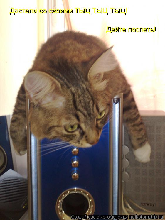 Достали со своими ТЫЦ ТЫЦ ТЫЦ! Дайте поспать!... Котоматрица: Достали со своими ТЫЦ ТЫЦ ТЫЦ! Дайте поспать!