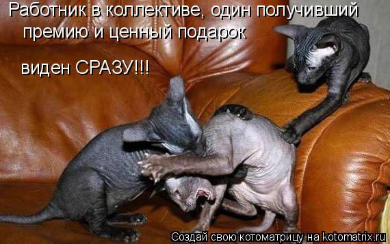 Работник в коллективе, один получивший премию и ценный подарок виден СРАЗУ!!!... Котоматрица: Работник в коллективе, один получивший премию и ценный подарок виден СРАЗУ!!!