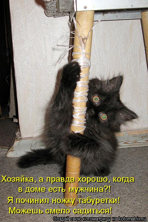 Хозяйка, а правда хорошо, когда в доме есть мужчина?! Я починил ножку табуретки! Можешь смело садить... Котоматрица: Хозяйка, а правда хорошо, когда в доме есть мужчина?! Я починил ножку табуретки! Можешь смело садиться!