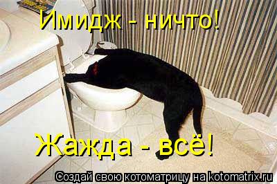 Котоматрица: Имидж - ничто! Жажда - всё!