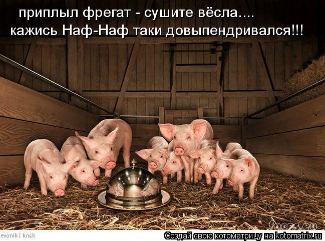 Котоматрица: приплыл фрегат - сушите вёсла.... кажись Наф-Наф таки довыпендривался!!!