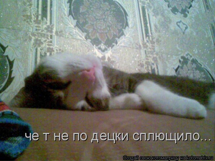 Котоматрица: че т не по децки сплющило...