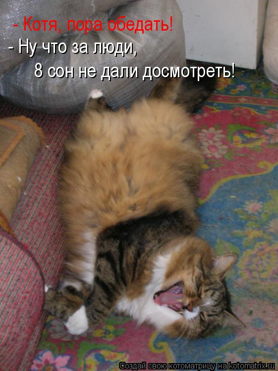 Котоматрица: - Котя обедать - Котя, пора обедать! - Ну что за люди, 8 сон не дали досмотреть! - Ну что за люди,  8 сон не дали досмотреть!