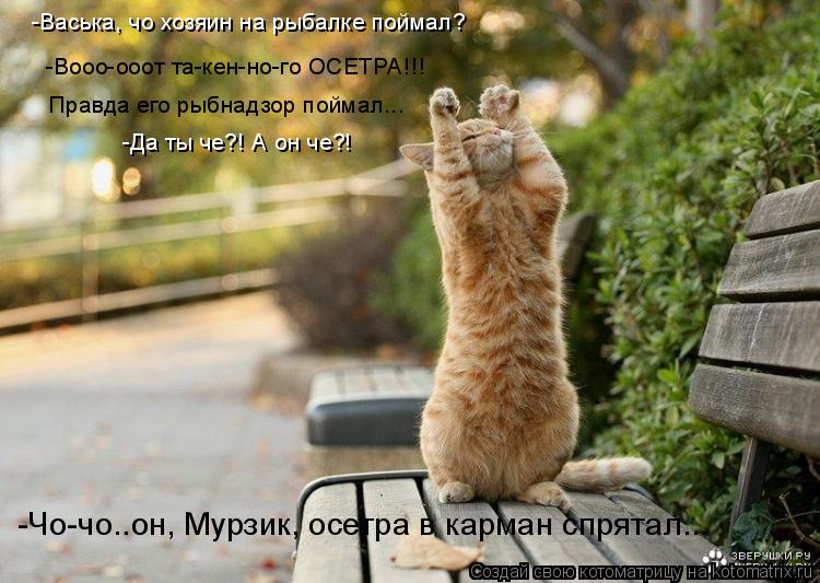 -Васька, чо хозяин на рыбалке поймал? -Вооо-ооот та-кен-но-го ОСЕТРА!!! Правда его рыбнадзор поймал..... Котоматрица: -Васька, чо хозяин на рыбалке поймал? -Вооо-ооот та-кен-но-го ОСЕТРА!!! Правда его рыбнадзор поймал... -Да ты че?! А он че?! -Чо-чо..он, Мурзик, осетр