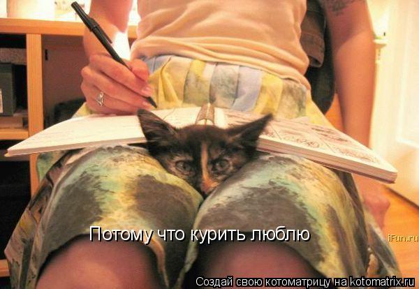 Потому что курить люблю... Котоматрица: Потому что курить люблю