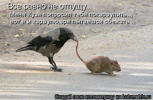 Все равно не отпущу... Меня Кузя попросил тебя покараулить.., вот я и караулю,зря пытаешся сбежать..,... Котоматрица: Все равно не отпущу... Меня Кузя попросил тебя покараулить.., вот я и караулю,зря пытаешся сбежать..,