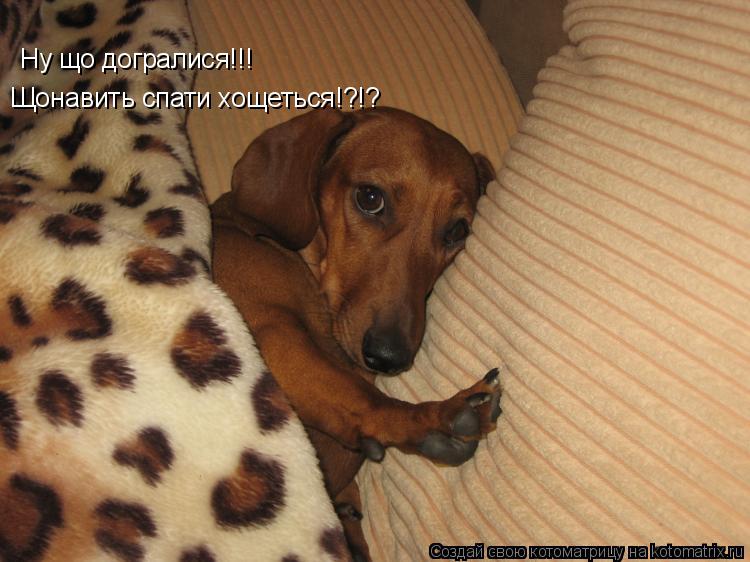Ну що догралися!!! Щонавить спати хощеться!?!?... Котоматрица: Ну що догралися!!! Щонавить спати хощеться!?!?