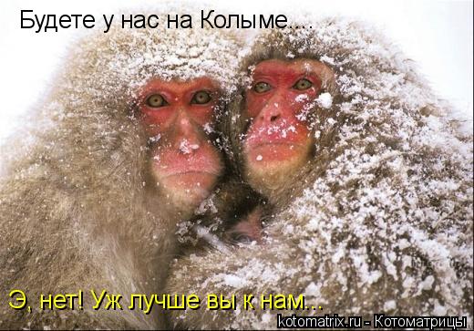 Будете у нас на Колыме.... Э, нет! Уж лучше вы к нам...... Котоматрица: Будете у нас на Колыме.... Э, нет! Уж лучше вы к нам...