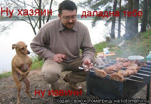 Ну хазяин даладна тебе ну извини... Котоматрица: Ну хазяин даладна тебе ну извини