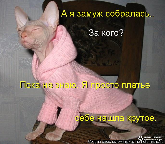 Пока не знаю. Я просто платье себе нашла крутое. А я замуж собралась.. За кого?... Котоматрица: Пока не знаю. Я просто платье себе нашла крутое. А я замуж собралась.. За кого?