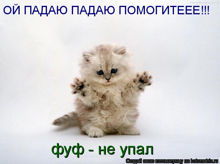 Котоматрица: ОЙ ПАДАЮ ПАДАЮ ПОМОГИТЕЕЕ!!! фуф - не упал