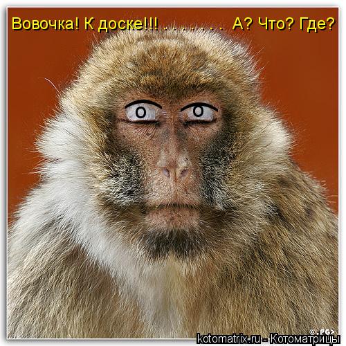) ) о о Вовочка! К доске!!! . . . . . . . А? Что? Где?... Котоматрица: ) ) о о Вовочка! К доске!!! . . . . . . . А? Что? Где?