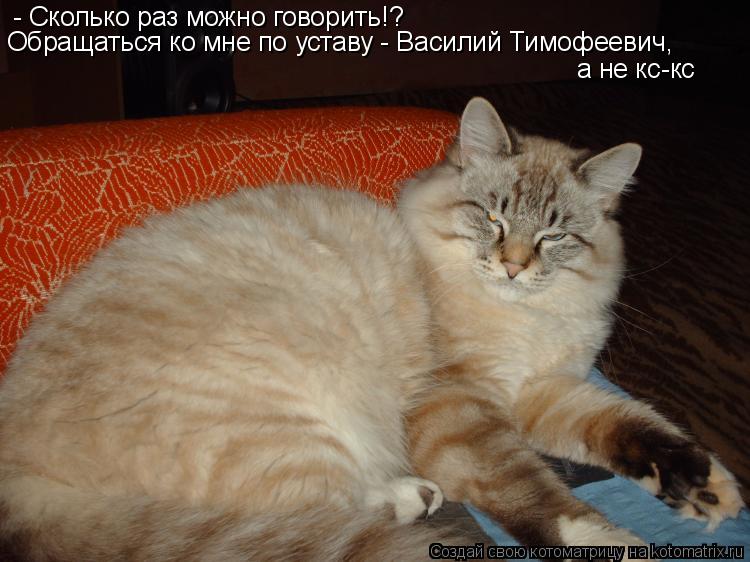 - Сколько раз можно говорить!? Обращаться ко мне по уставу - Василий Тимофеевич, а не кс-кс... Котоматрица: - Сколько раз можно говорить!? Обращаться ко мне по уставу - Василий Тимофеевич, а не кс-кс