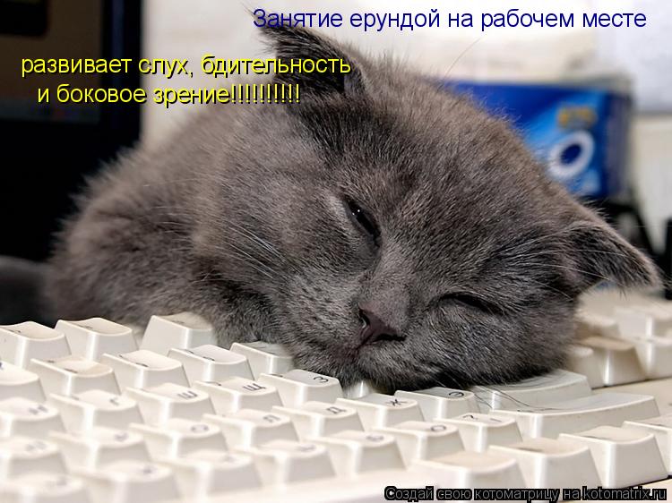 развивает слух, бдительность и боковое зрение!!!!!!!!!! Занятие ерундой на рабочем месте... Котоматрица: развивает слух, бдительность и боковое зрение!!!!!!!!!! Занятие ерундой на рабочем месте