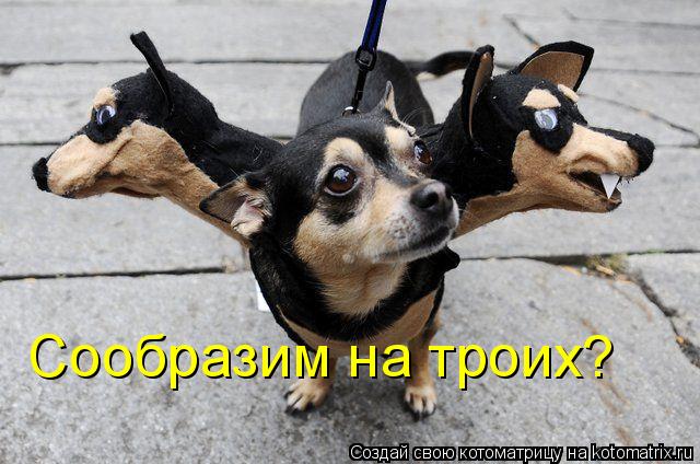 Котоматрица: Сообразим на троих?