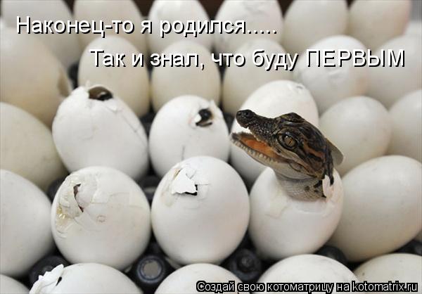 Котоматрица: Наконец-то я родился..... Так и знал, что буду ПЕРВЫМ