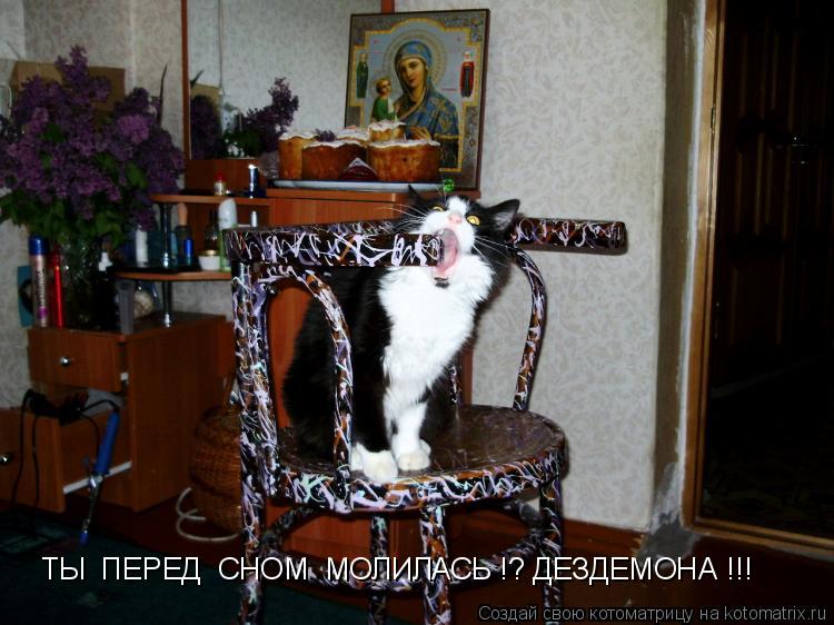 Котоматрица: ТЫ  ПЕРЕД  СНОМ  МОЛИЛАСЬ !? ДЕЗДЕМОНА !!!
