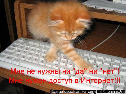 Мне не нужны ни 'да' ни 'нет'! Мне нужен доступ в Интернет!!!... Котоматрица: Мне не нужны ни 'да' ни 'нет'! Мне нужен доступ в Интернет!!!